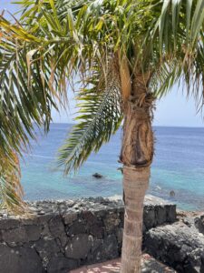 Tenerife,Isole Canarie